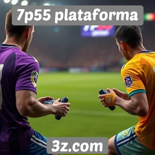 Experiência do usuário na 7p55 e feedback de jogadores